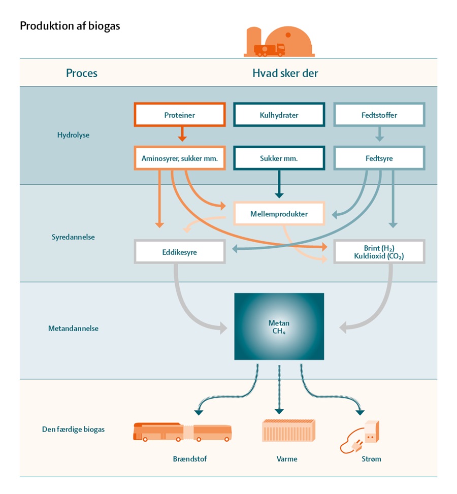 Produktion af biogas