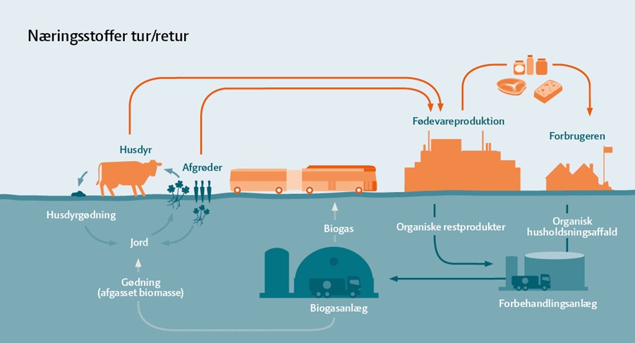 Næringsstof, kredsløb