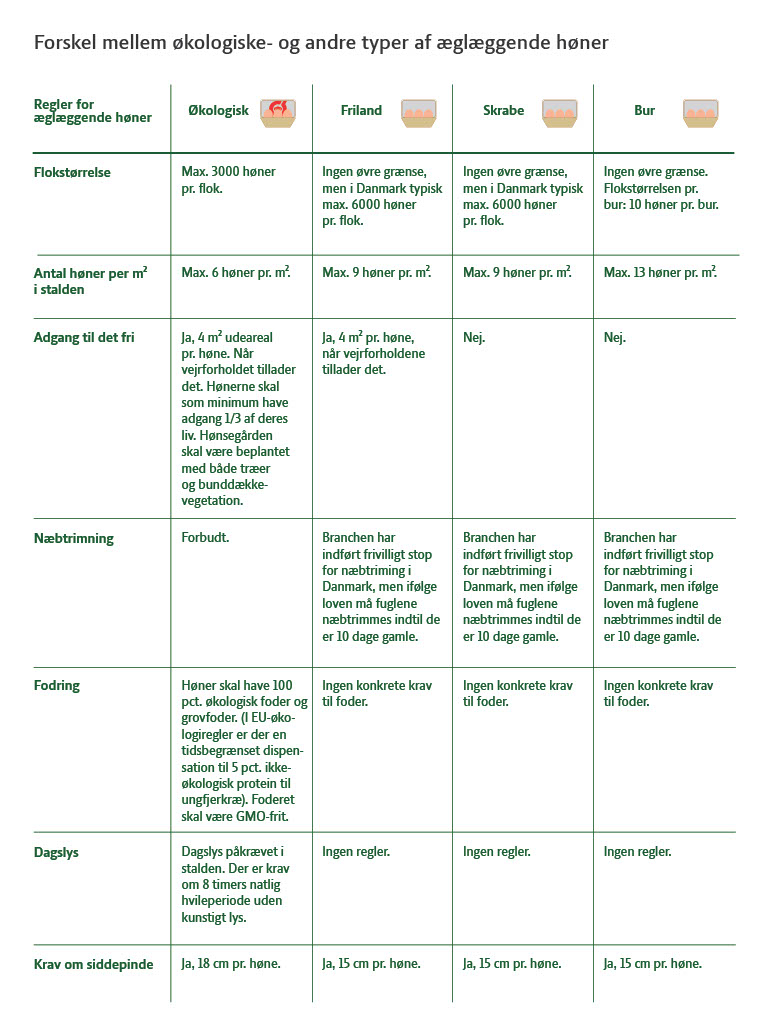 Forskelle mellem økologiske- og andre typer af æglæggende høner