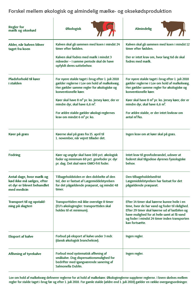 Forskelle mellem økologisk og almindelig mælke- og oksekødsproduktion